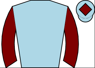 Horse silk