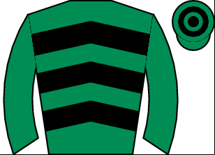 Horse silk