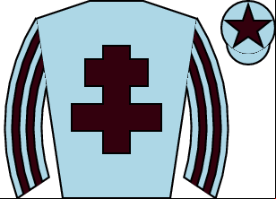Horse silk