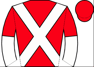Horse silk