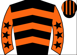 Horse silk