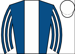 Horse silk