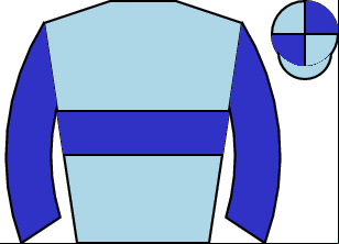 Horse silk