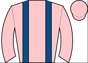 Horse silk