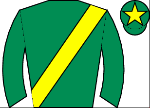Horse silk