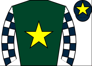 Horse silk