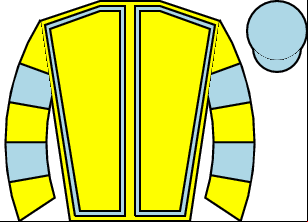 Horse silk
