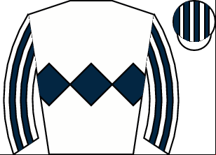 Horse silk