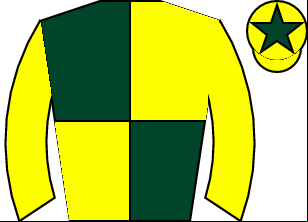 Horse silk