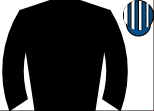 Horse silk