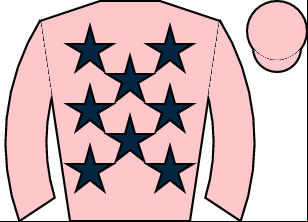 Horse silk