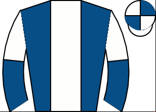 Horse silk