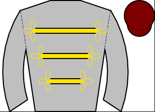Horse silk