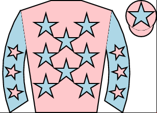 Horse silk