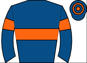 Horse silk