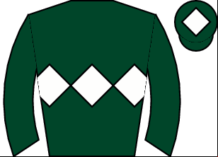 Horse silk