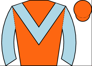 Horse silk