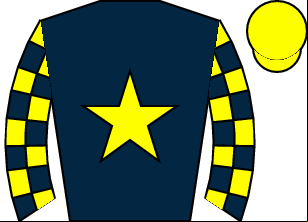 Horse silk