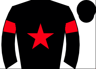 Horse silk