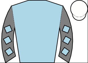 Horse silk