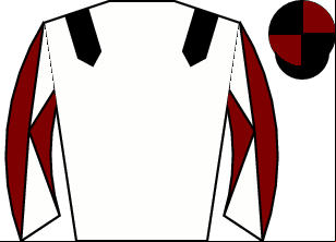 Horse silk