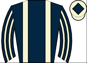 Horse silk