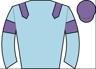 Horse silk