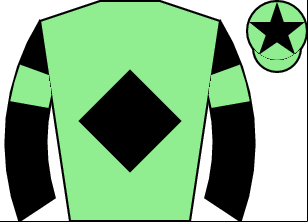 Horse silk