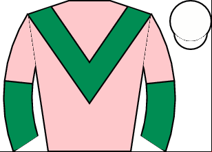 Horse silk