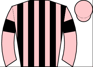 Horse silk