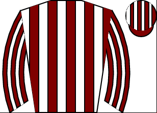 Horse silk
