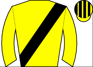 Horse silk