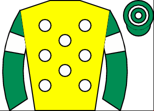 Horse silk