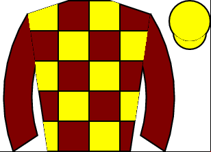 Horse silk