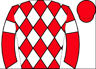 Horse silk