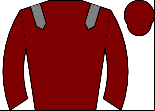 Horse silk