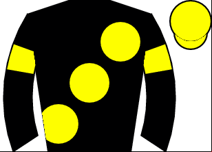 Horse silk