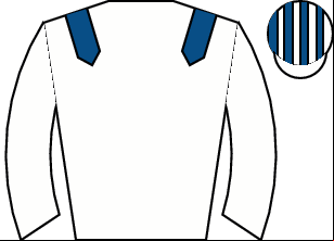 Horse silk