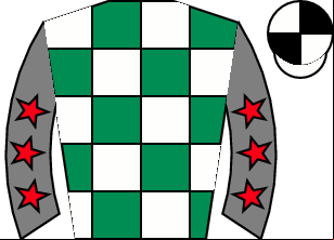 Horse silk