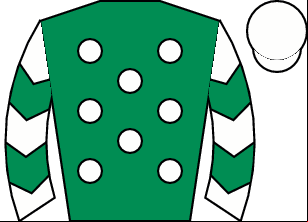 Horse silk