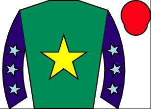 Horse silk