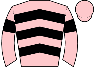 Horse silk