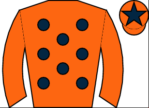 Horse silk