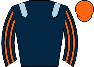 Horse silk