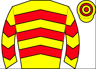 Horse silk