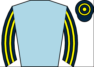 Horse silk