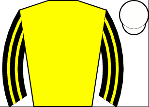 Horse silk