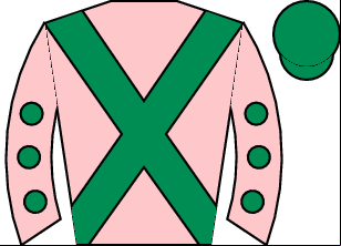 Horse silk