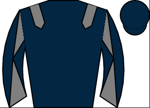Horse silk