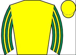 Horse silk
